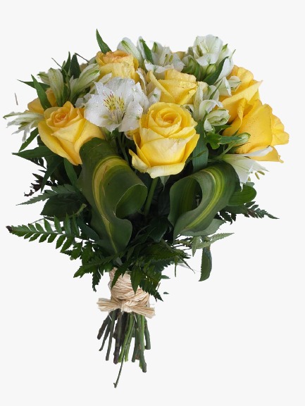 Buquê de 10 Rosas Amarelas - Flor de Lira